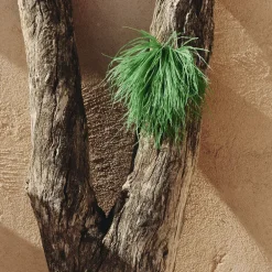 Zaza brooch in grass green feathers